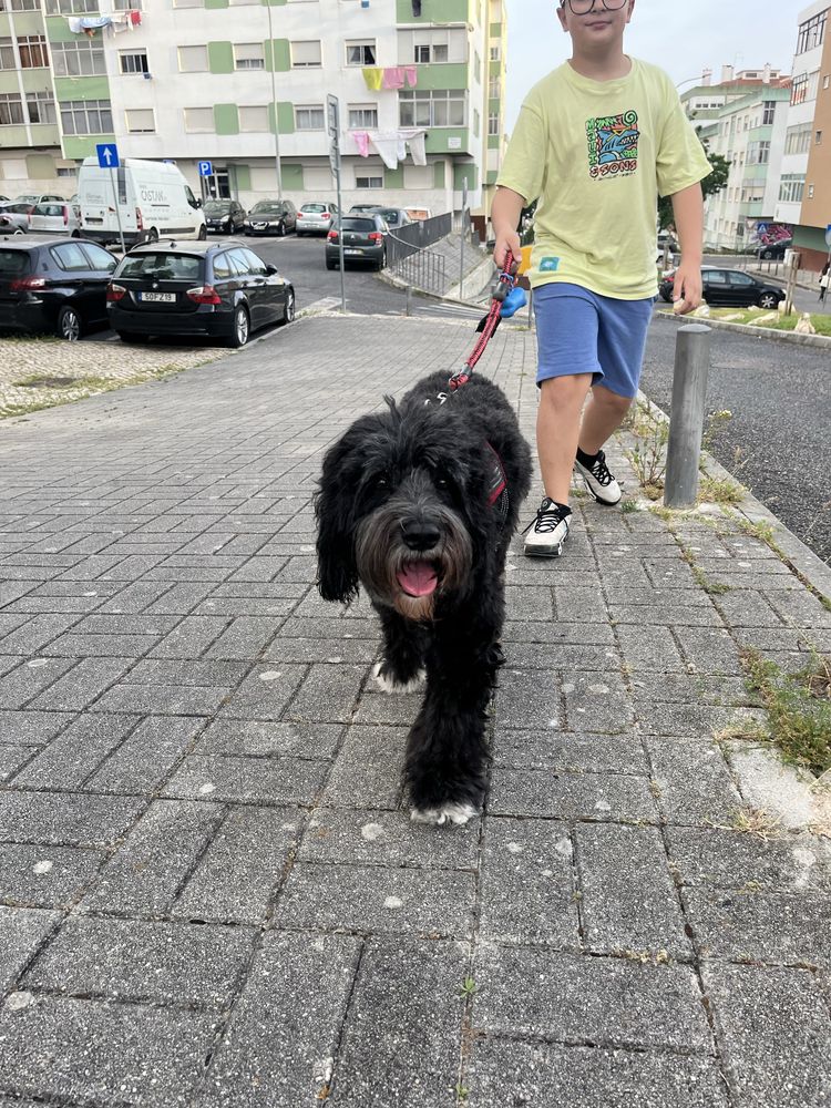 Hospedagem Familiar & Petsitting com Muito A