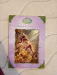 livro Disney princesas