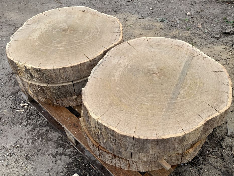 Plastry dębowe 100cm krążki na stolik kawowy żywice