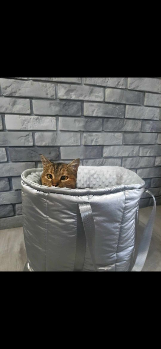 Nowa torba dla kota psa