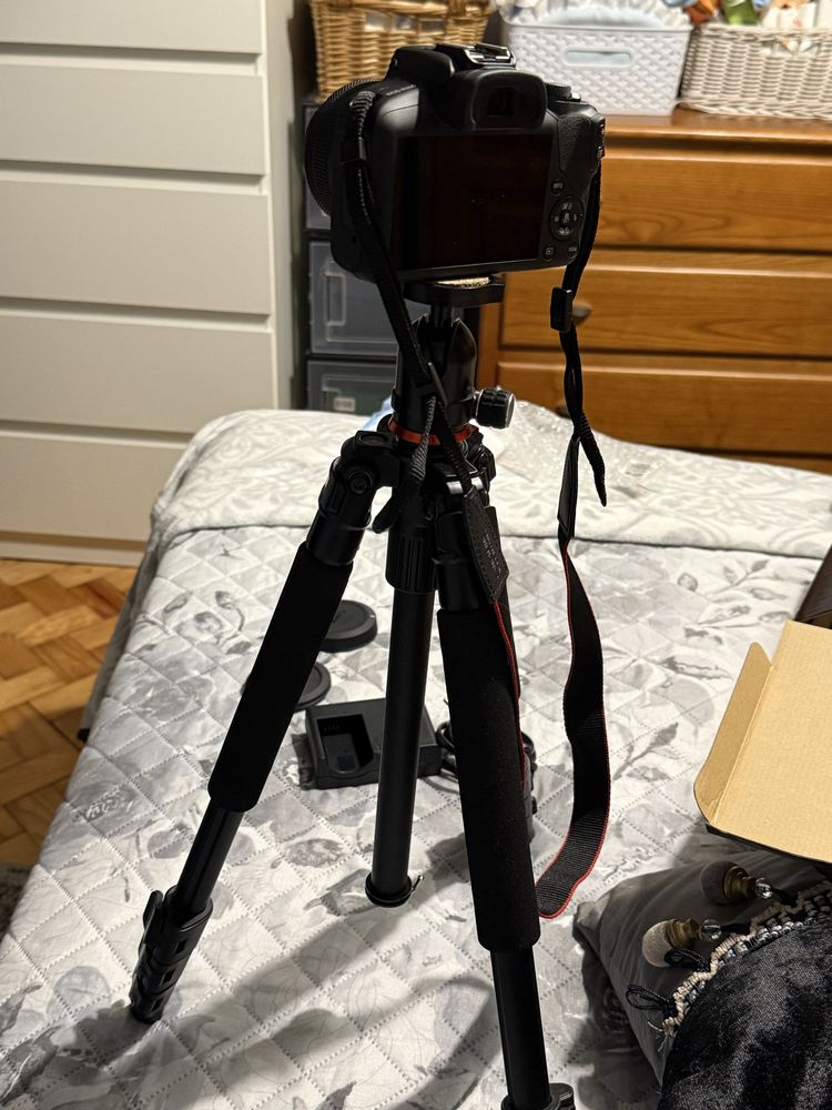 Camara Canon EOS R100