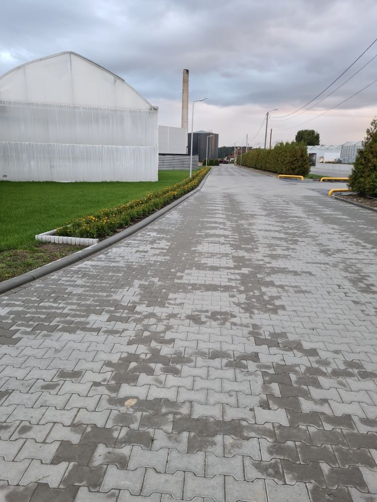 Usługi koparkami, wynajem koparki, usługi brukarskie, niwelacja terenu