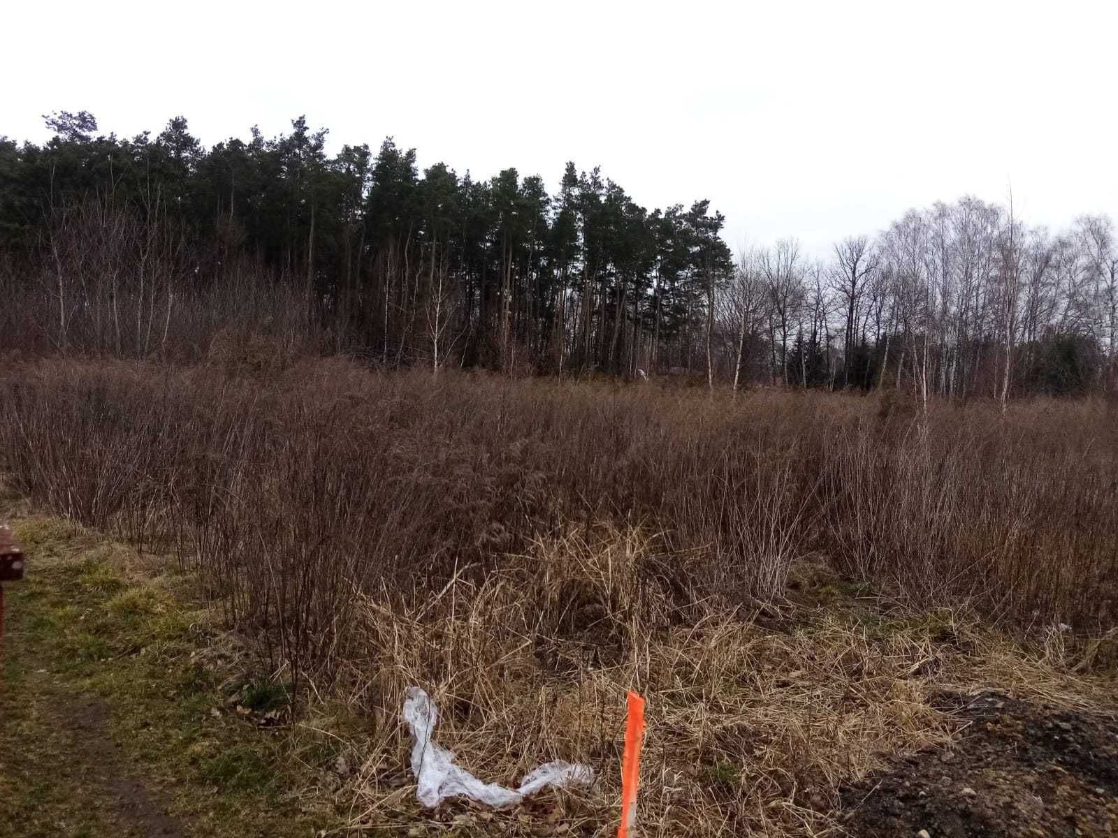 MULCZER LEŚNY  WGŁĘBNY wycinka drzew  Czyszczenie Karczowanie PILAR /