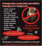 Odławianie kun, mysz, szczurów,pluskiew, prusaków, gazowanie fumigacja