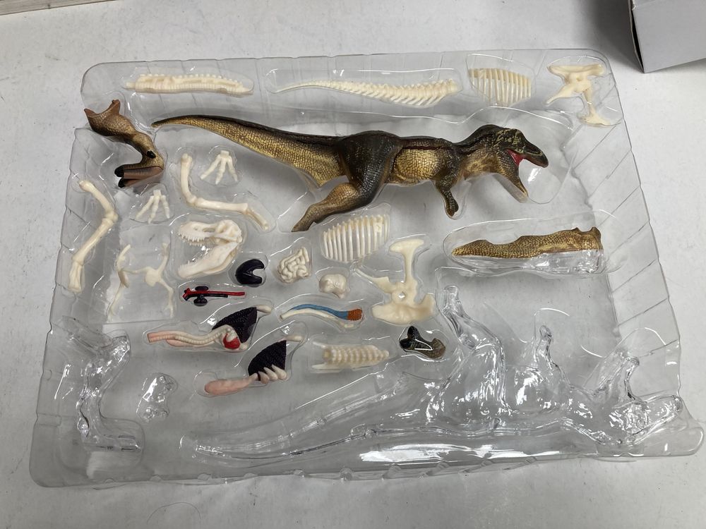 Kit Modelo 3D Tyrannosaurus Rex