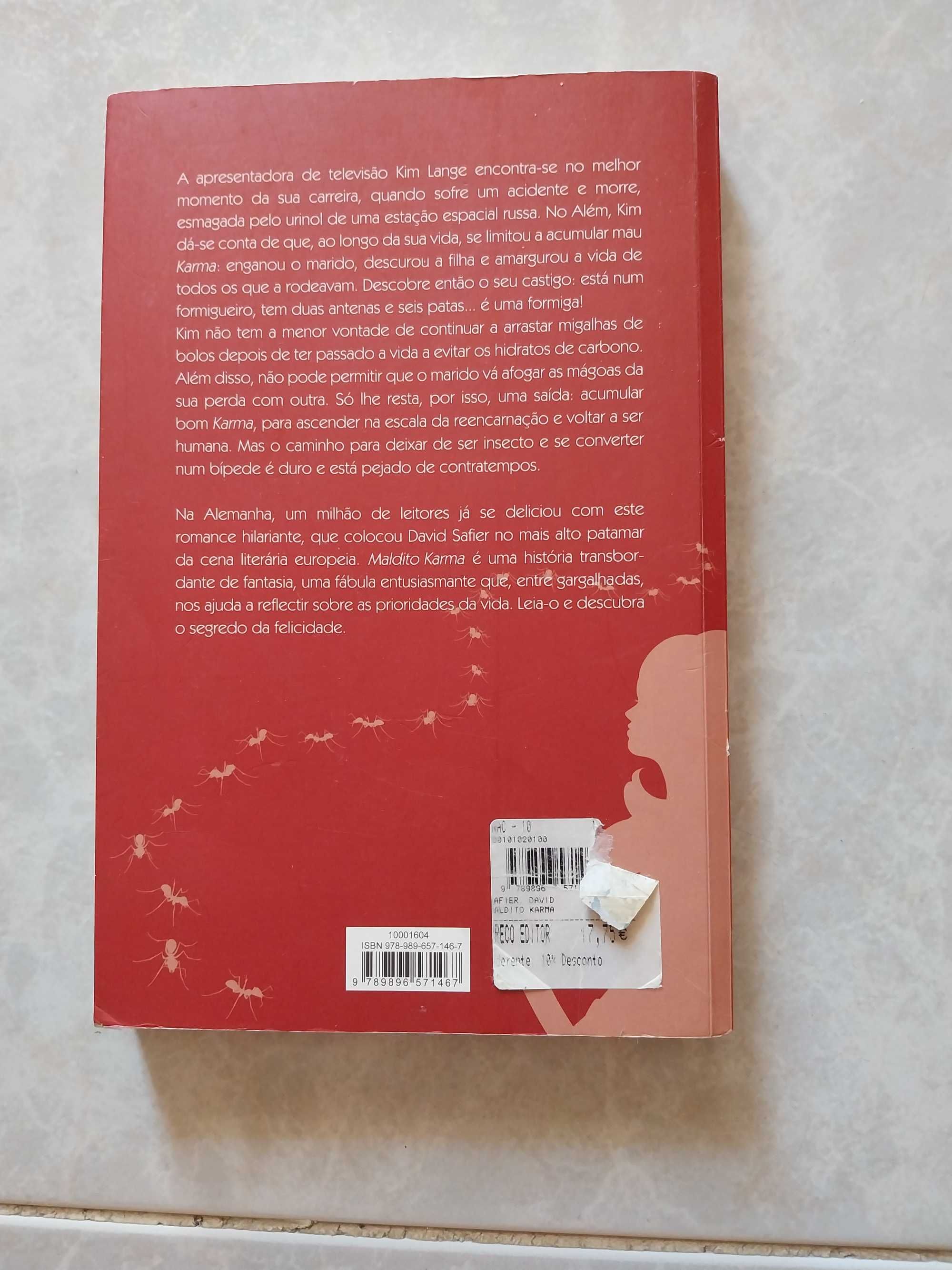 Maldito karma, David Safier