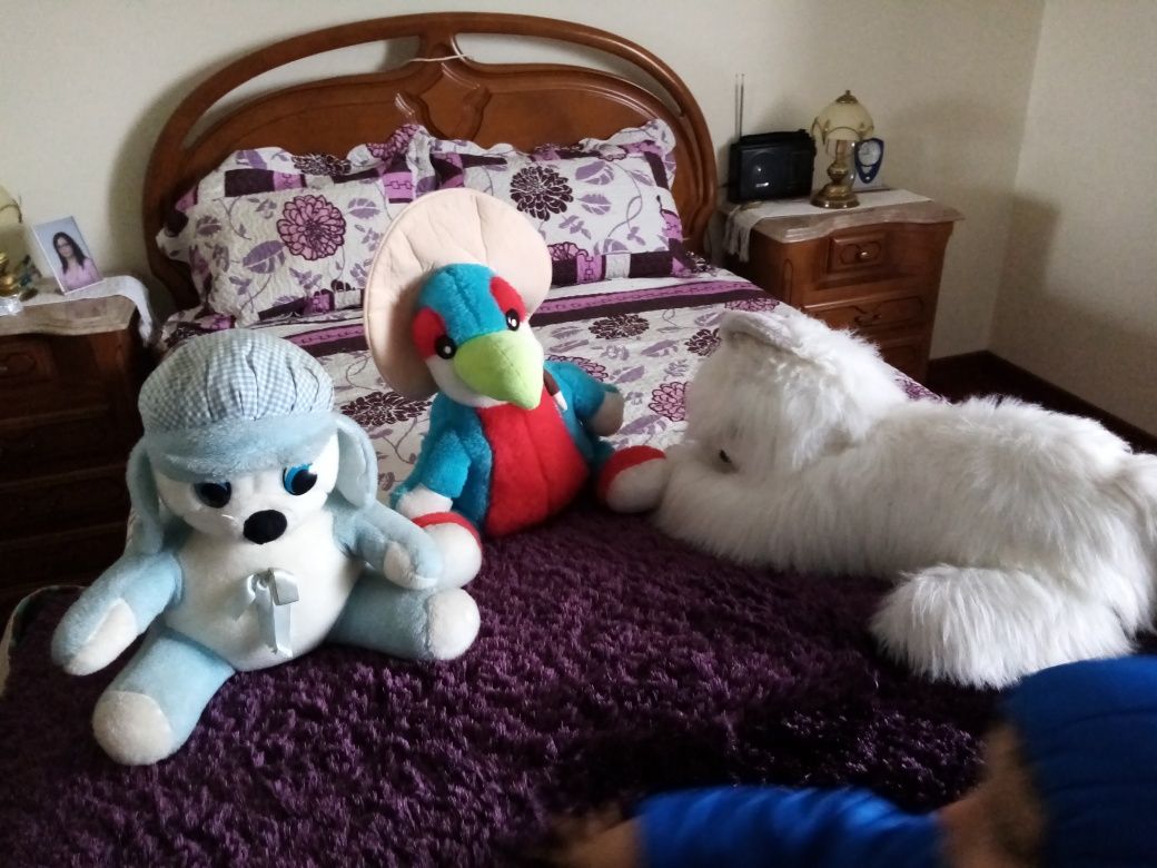 Peluches, grandes e pequenos, cerca de 20