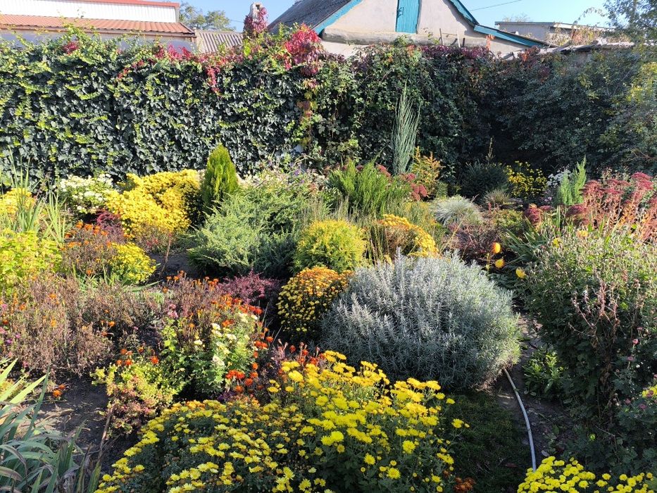 Садовник.Уход за хвойными растениями.Осенняя уборка территорий.