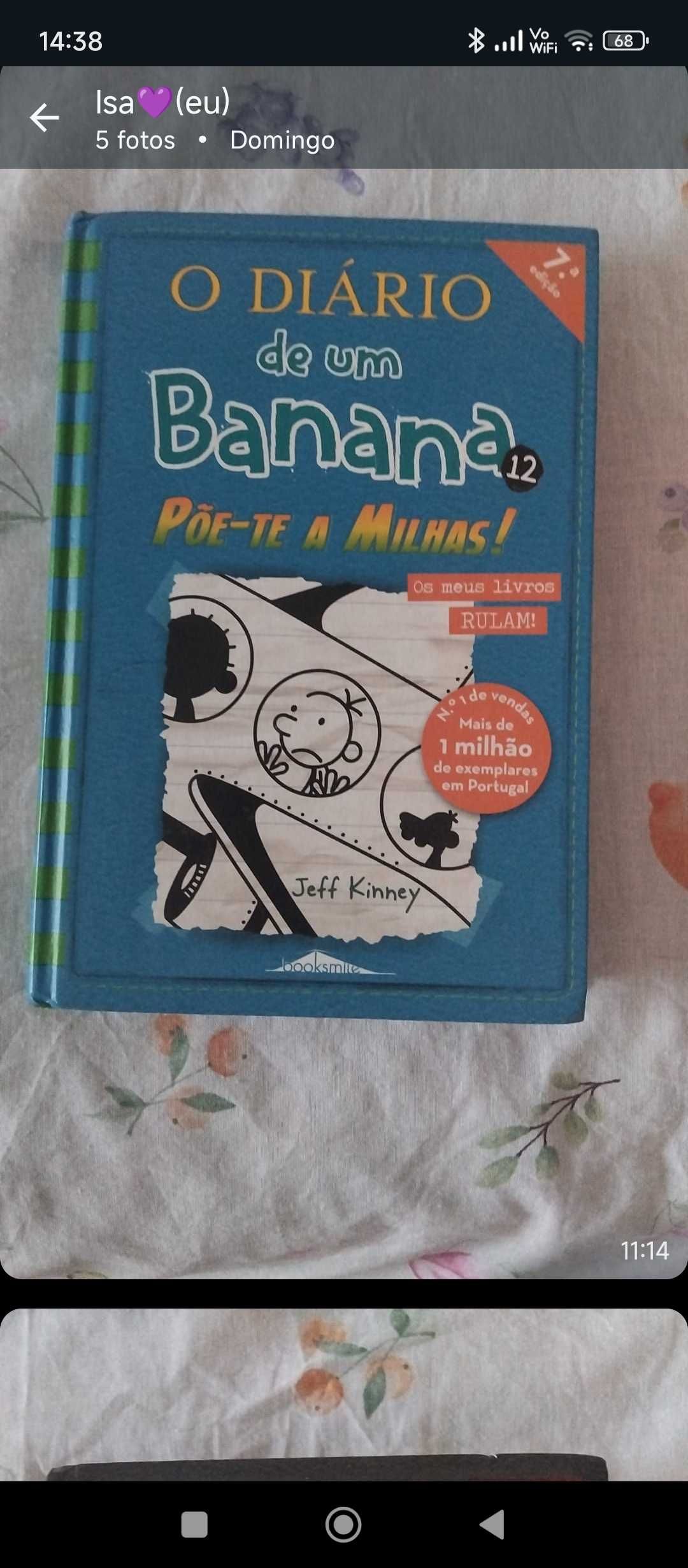 Diário de um banana