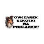 Naklejka na samochód z psem OWCZAREK SZKOCKI NA POKŁADZIE