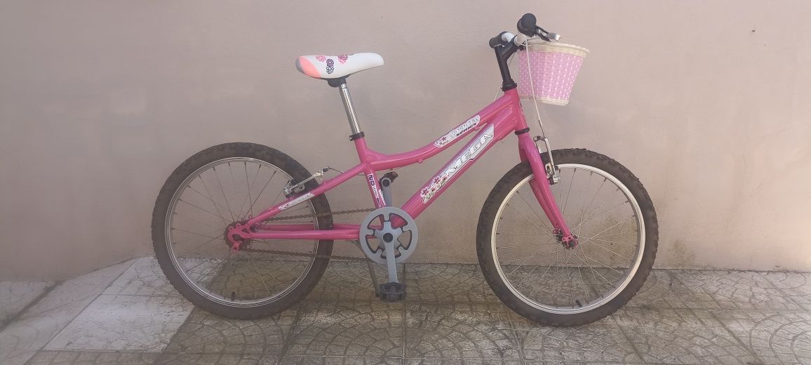 Bicicleta roda 20