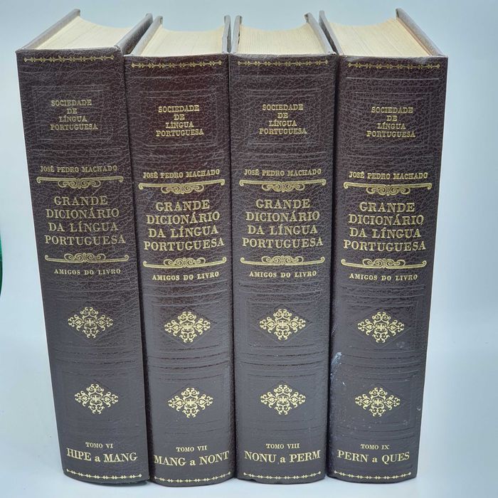 Livro - Sociedade de L.P. - Grande Dicionário da Lingua Port... - Mont