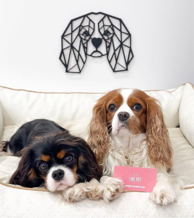 Peca decoracao Cavalier King Charles