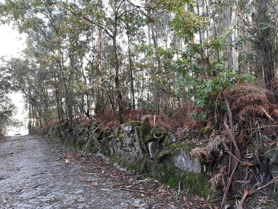 Terreno Urbanizável com PIP aprovado