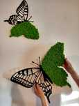 Motyl z mchem chrobotkiem Obraz na ścianie. Prezent. Dekoracje wnętrz