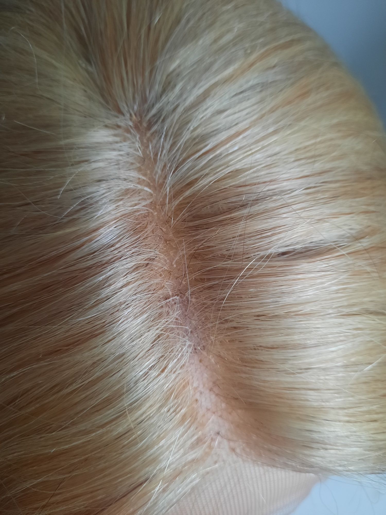 Blond peruka ludzkie włosy prawdziwe naturalne t part siateczka baleya