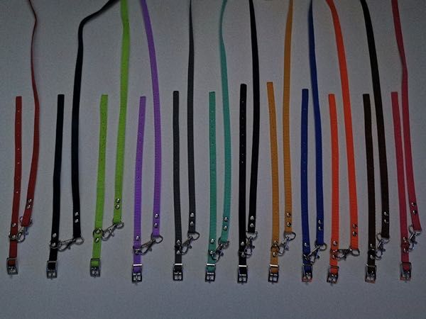 york obroża i smycz dla szczeniaka, zestaw 5 szt. kolory wyprawka