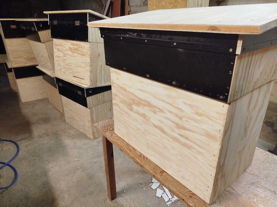 Ule warszawskie leżaki