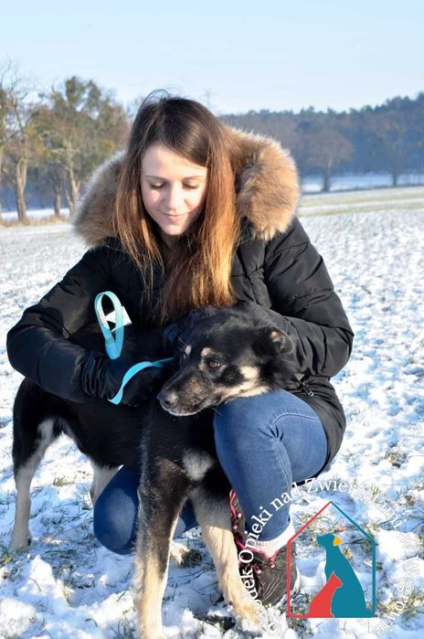 Uczuciowy, oddany, łagodny - nie zasługuje na dom bo czarny?