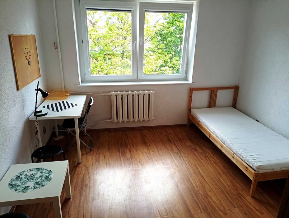 Wynajmę duży pokój jednoosobowy, Gdańsk wrzeszcz