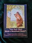 "How much wood would a woodchuck chuck" English Pronunciation Book