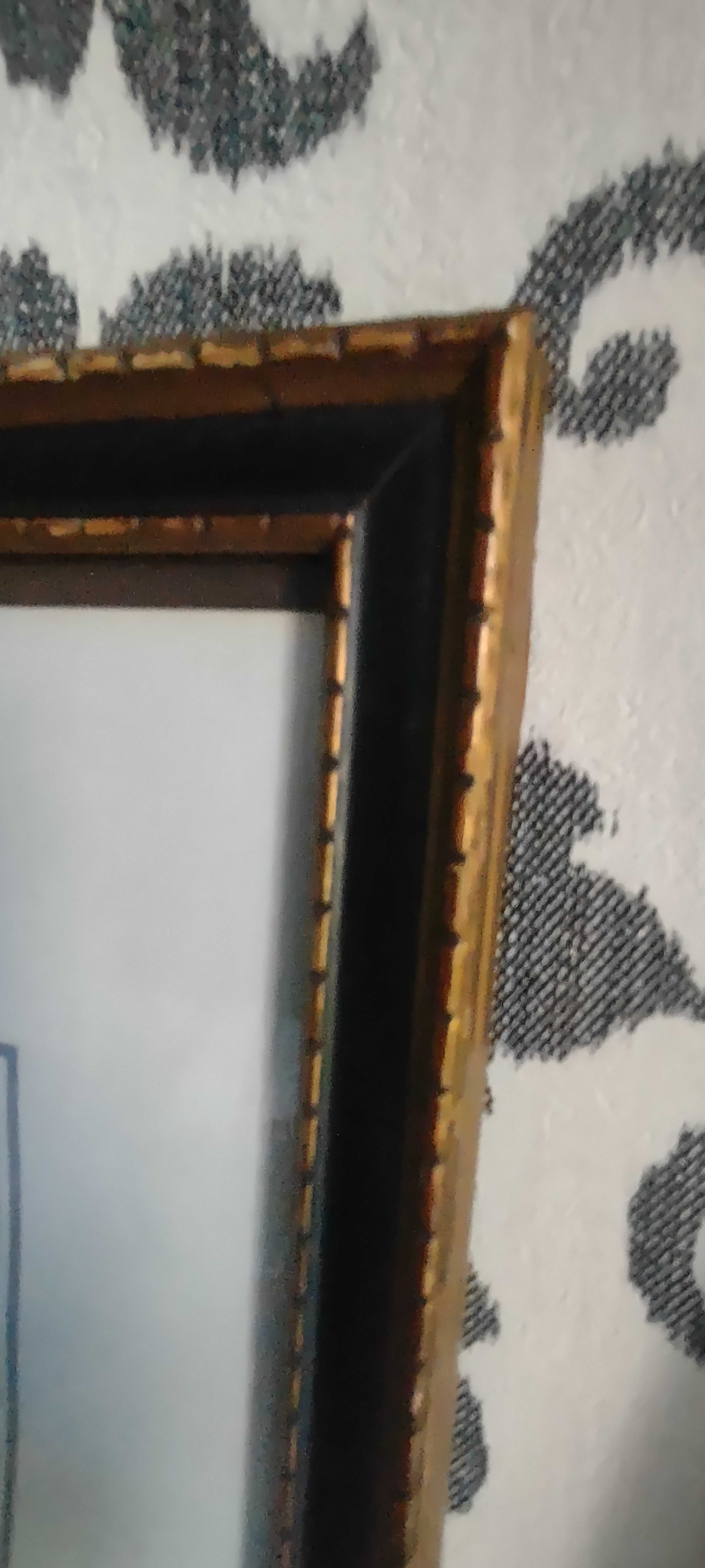 Herb Dołęga szlachecki artystyczna grafika w starej ramie 33x45cm.