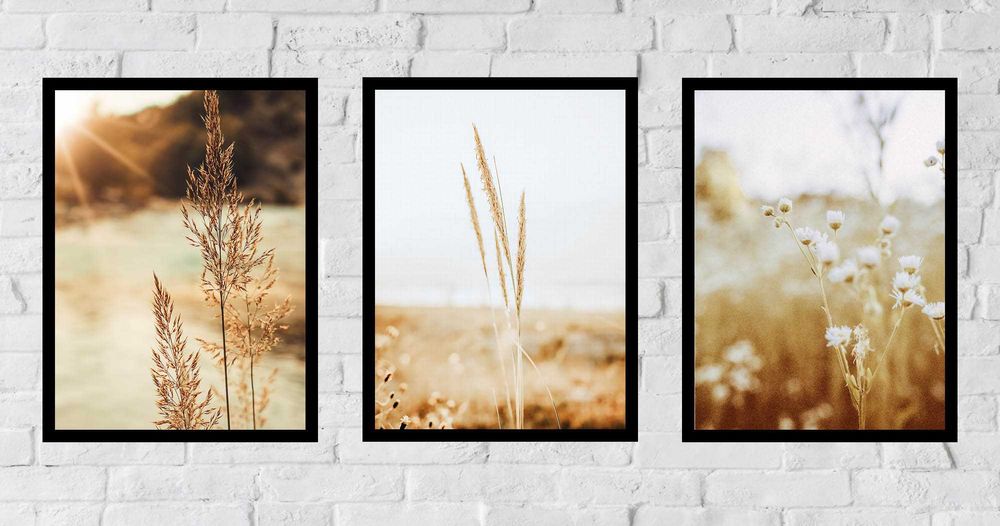 50x40 obrazy w ramie plakaty ramka TRAWA PAMPAS ŁĄKA NATURA BOHO