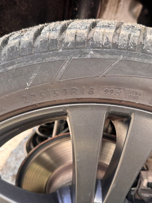 225.55.18 зима danlop