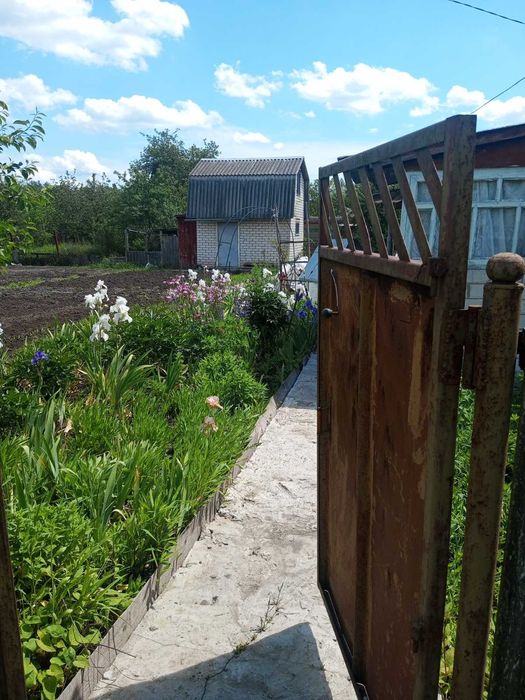 Продам дачу в Барашевському масиві