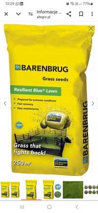 Trawa nasiona Barenbrug Resilient Blue 5kg