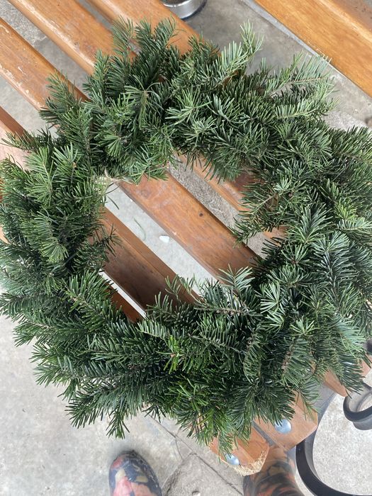 Пишні гілки ялинок