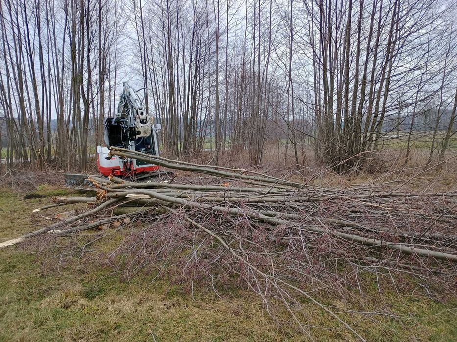 Usługi koparką 8.5 tony . Wycinka drzew i krzewów.