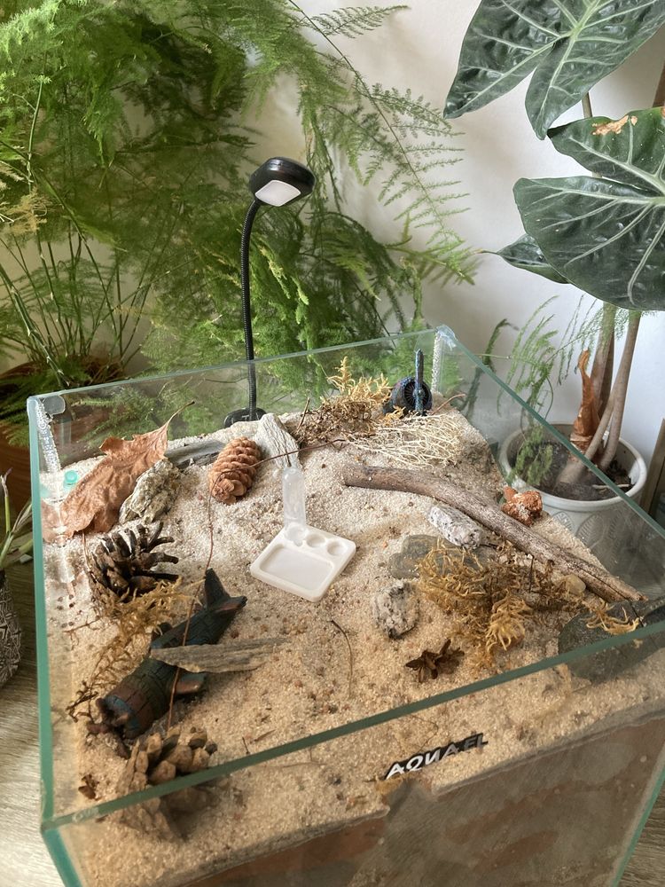 Formikarium 19 l.