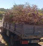 CARRINHAS para todo o tipo de recolha de resíduos de jardinagem e lixo