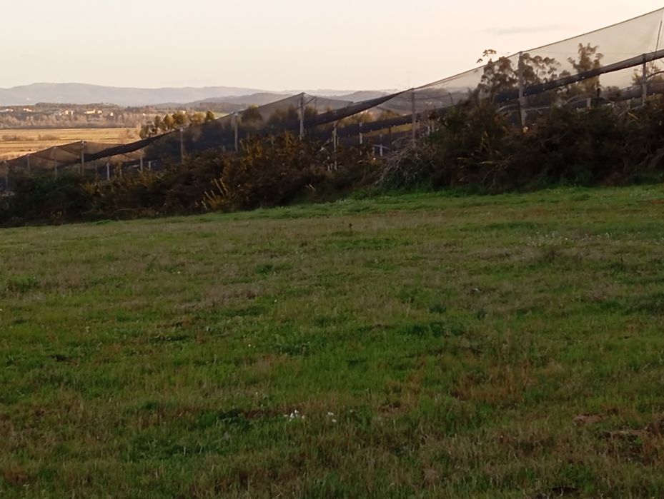 Terreno de construção de até 5moradias geminadas s