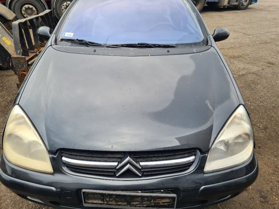 Grill atrapa Citroen C5 I