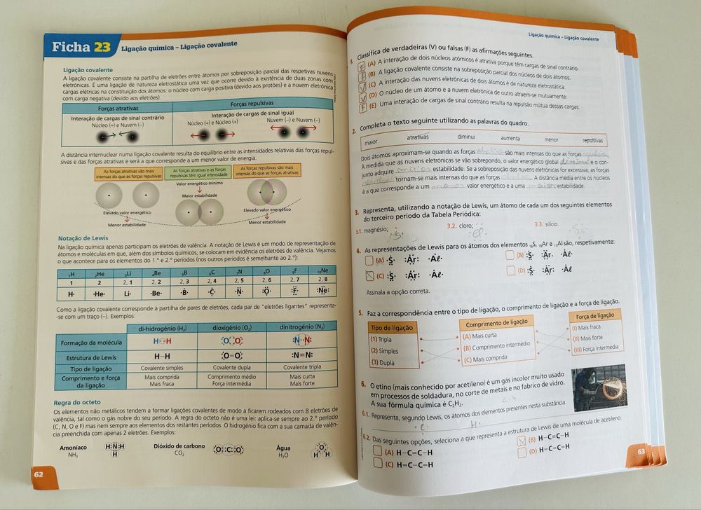 Livro de apoio de Físico-Química 9.º ano Porto Editora