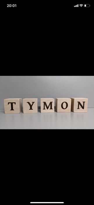 Drewniane kostki z literą