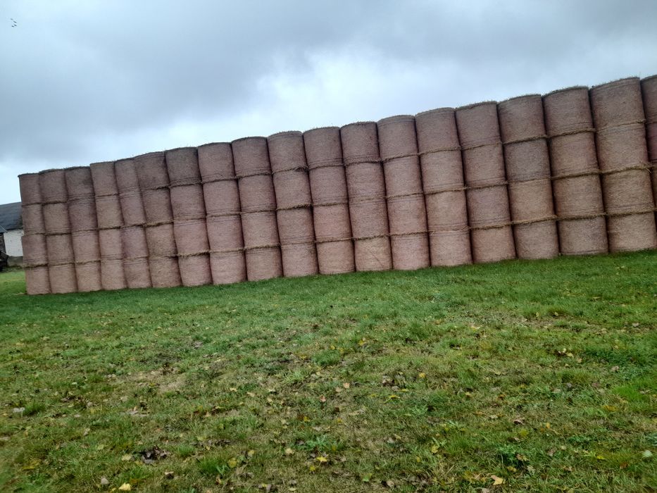 Sprzedam bele słomy