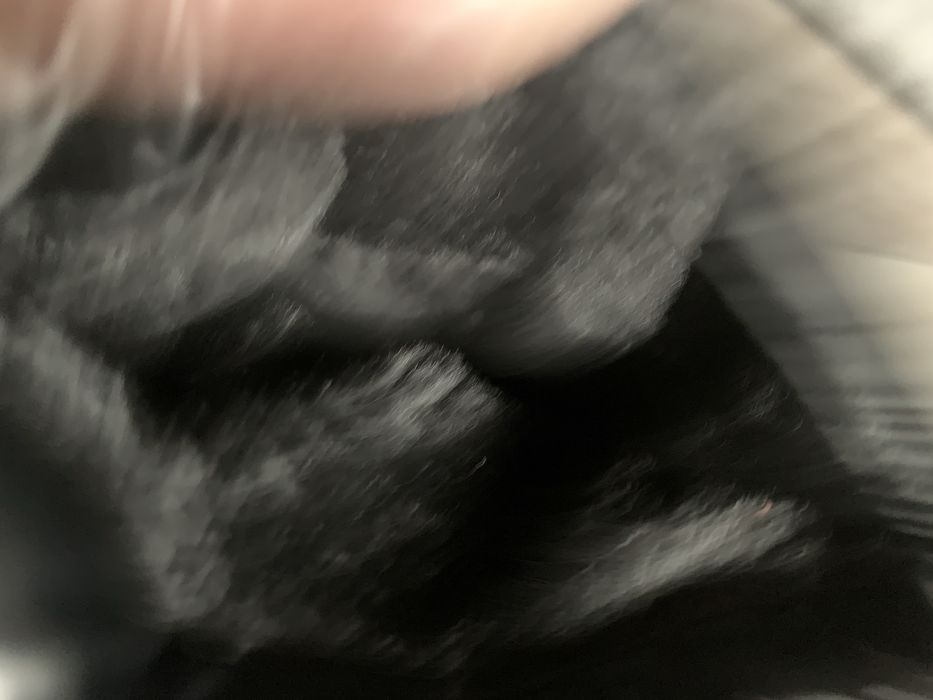 Нові чоботи сапоги дутики луноходи р.40(26 см)