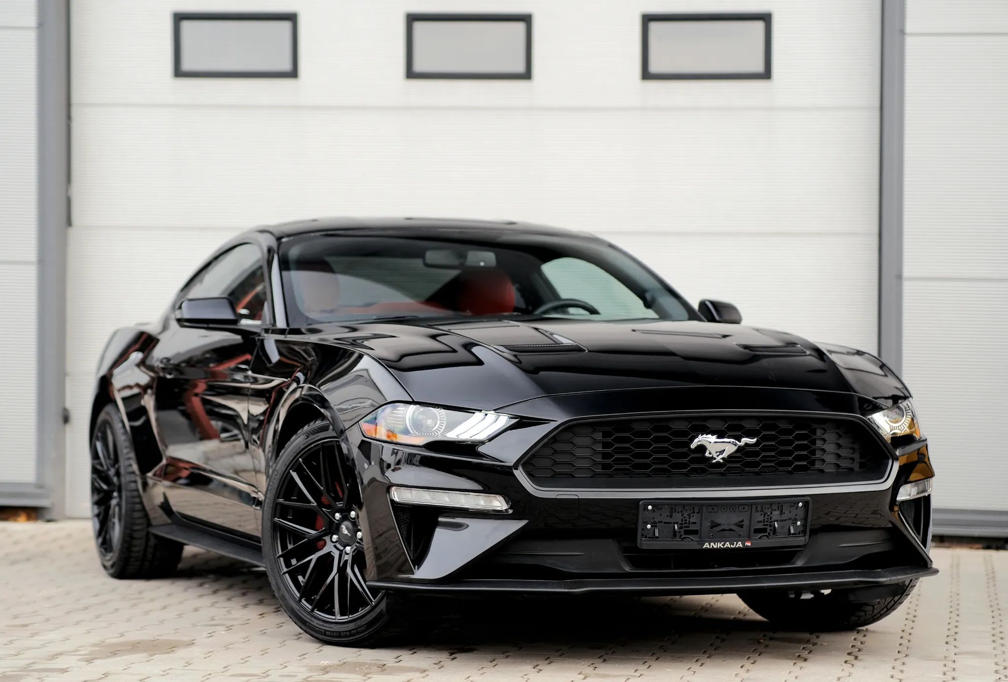 Ford Mustang 2.3 EcoBoost / Fastback / 310KM / Bogate Wyposażenie /