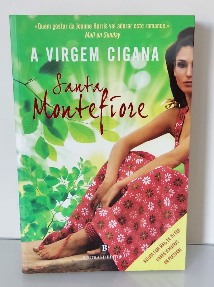 Livro A virgem cigana