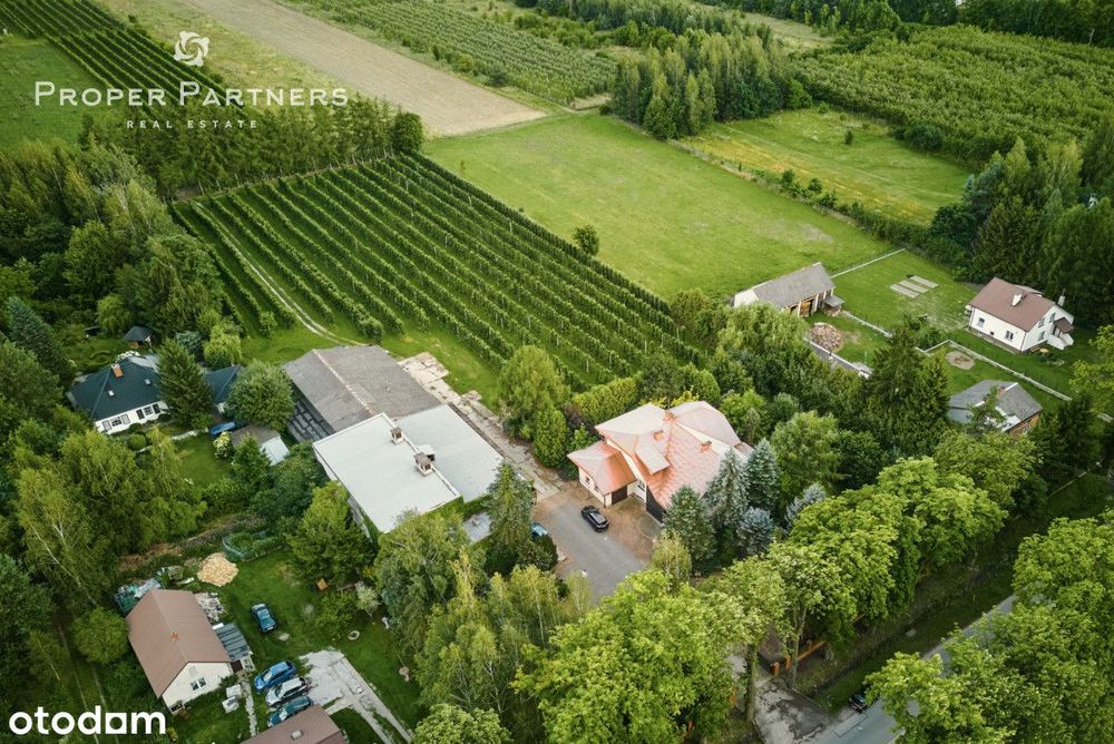 Ogromna działka budowlana z domem i zabudowaniami