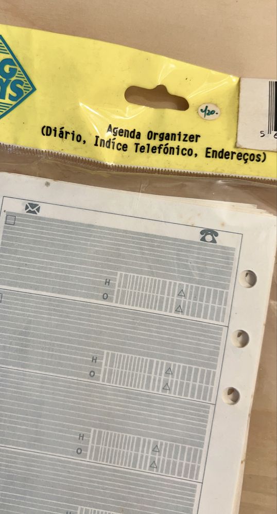 Subsituicao de organizer/fillofax