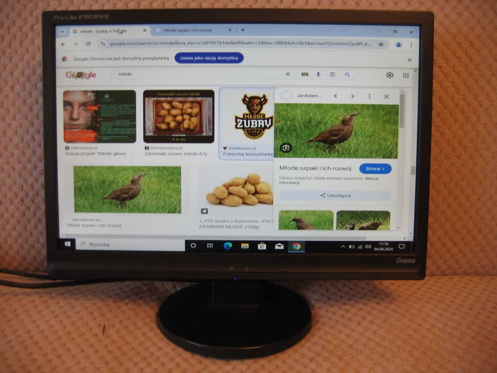 MONITOR 19" IIyama ProLite E1908WS - Idealny stan + przewody 1680x1050