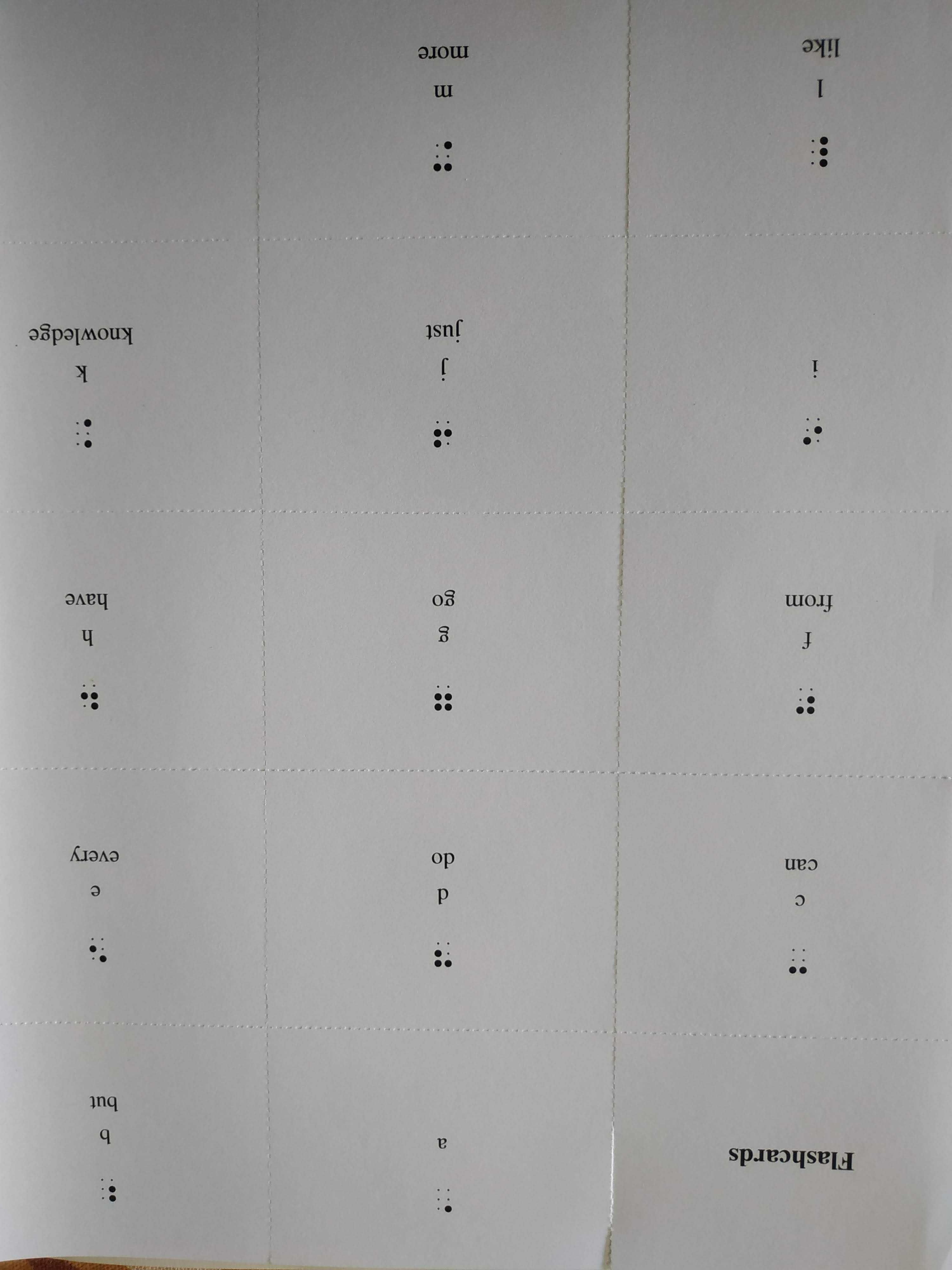 Livro Aprender a ler Braille - Just Enough to Know Better