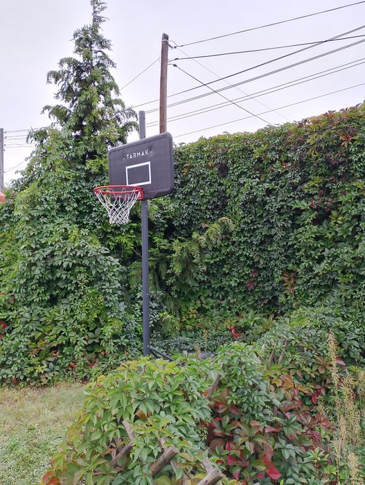 Kosz do koszykówki na regulowanym stojaku  Tarmak B100