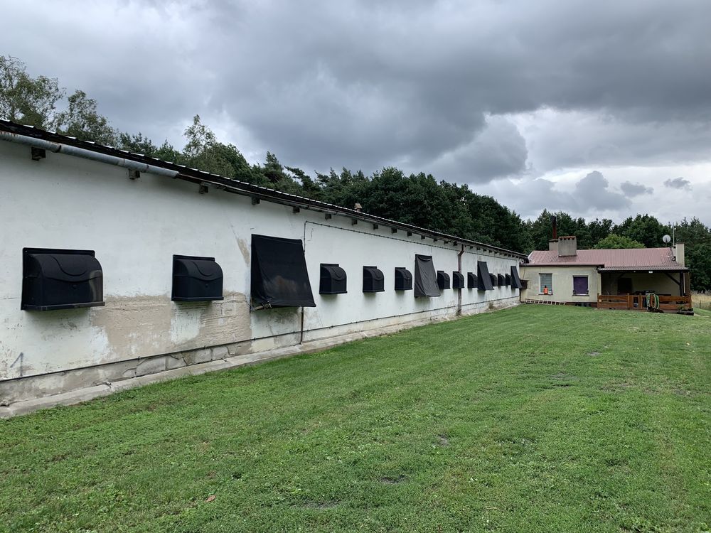 Dom , 4 działki , ferma drobiu , garaże , wiata , przestrzeń magazynow