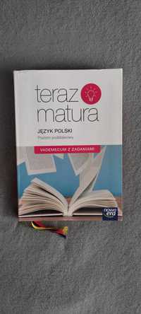 Teraz matura - vademecum do języka polskiego (poziom podstawowy)
