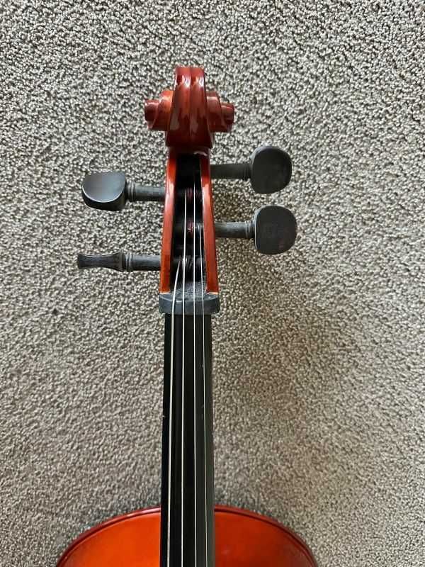 Violoncelo - Bernard